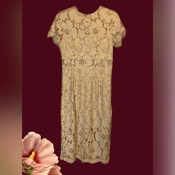 Nsr Dresses | Soft Pink Lace Midi-Dress Nsr Size S/2-4 | Color: Pink | Size: S | Celesteesposito's Closet